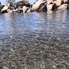 mmiranda_aa